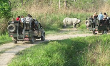Chitwan Jungle Safari Tour
