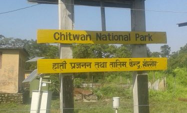 Chitwan Jungle Safari Tour