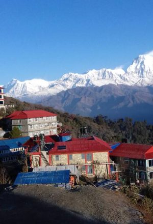 How To Choose Trekking Company In Nepal