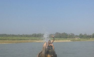 Chitwan Jungle Safari Tour