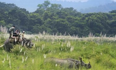Chitwan Jungle Safari Tour