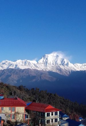 Top 5 Best Short Treks in Nepal: A Journey with The Nepal Trekking Company