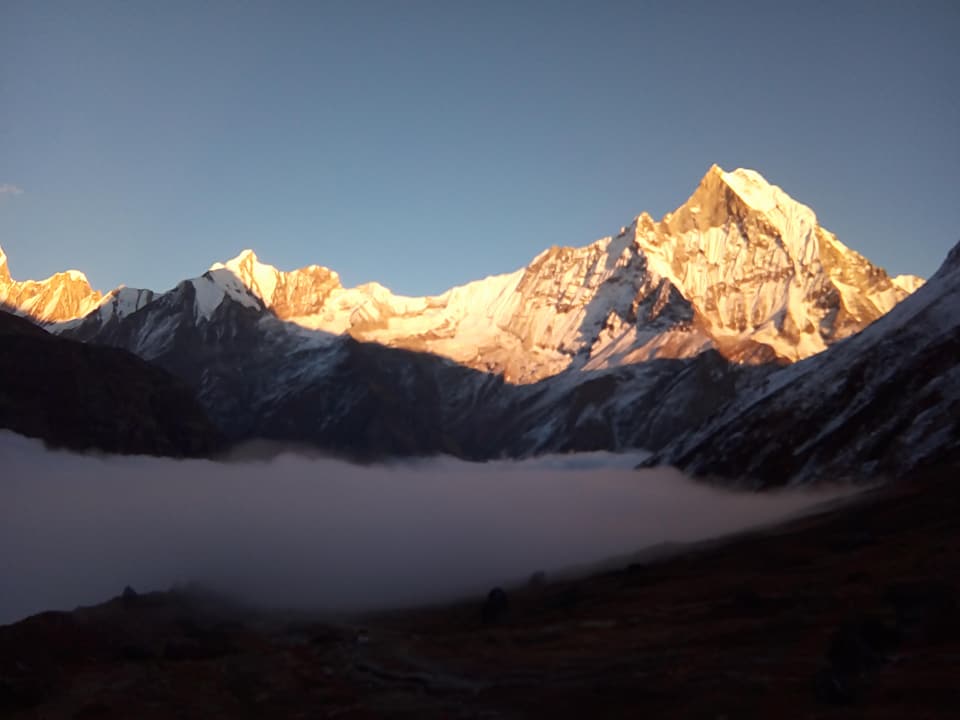 https://thenepaltrekkingcompany.com/company/our-teams/