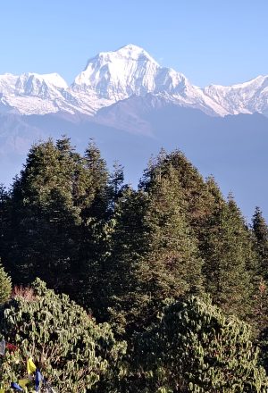 Top 10 Epic Treks in Nepal for 2025 – Unforgettable Adventures with The Nepal Trekking Company: