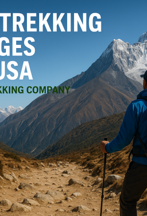Nepal Trekking Packages from USA – Discover the Himalayas with The Nepal Trekking Company.