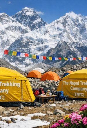 Spring Everest Base Camp Trek 2026 ||| Complete Travel Guide – Itinerary, Cost, and Guide Information.