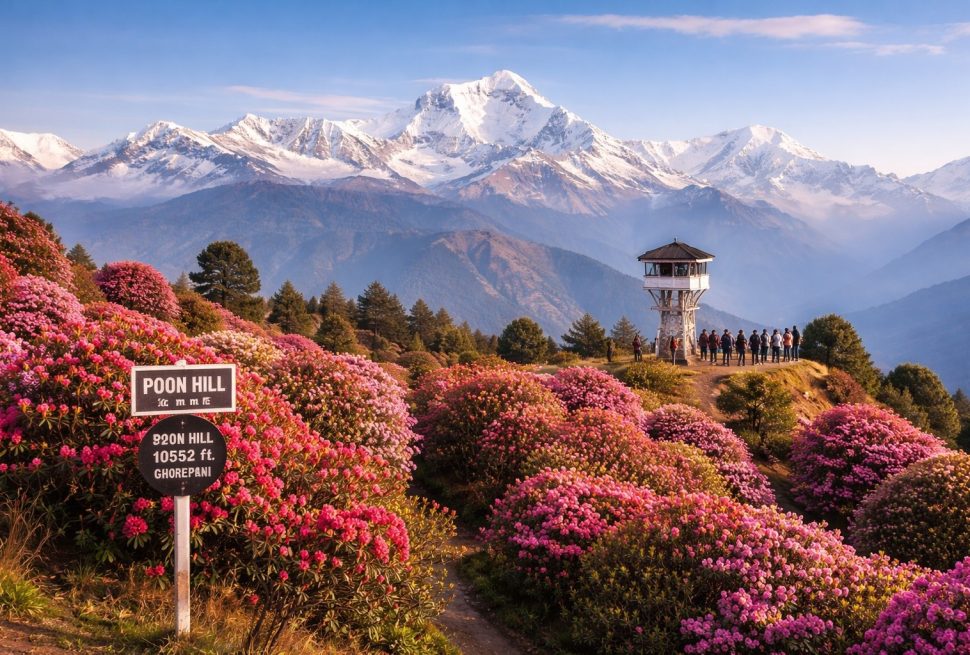 Nepal Tour and Short Trek