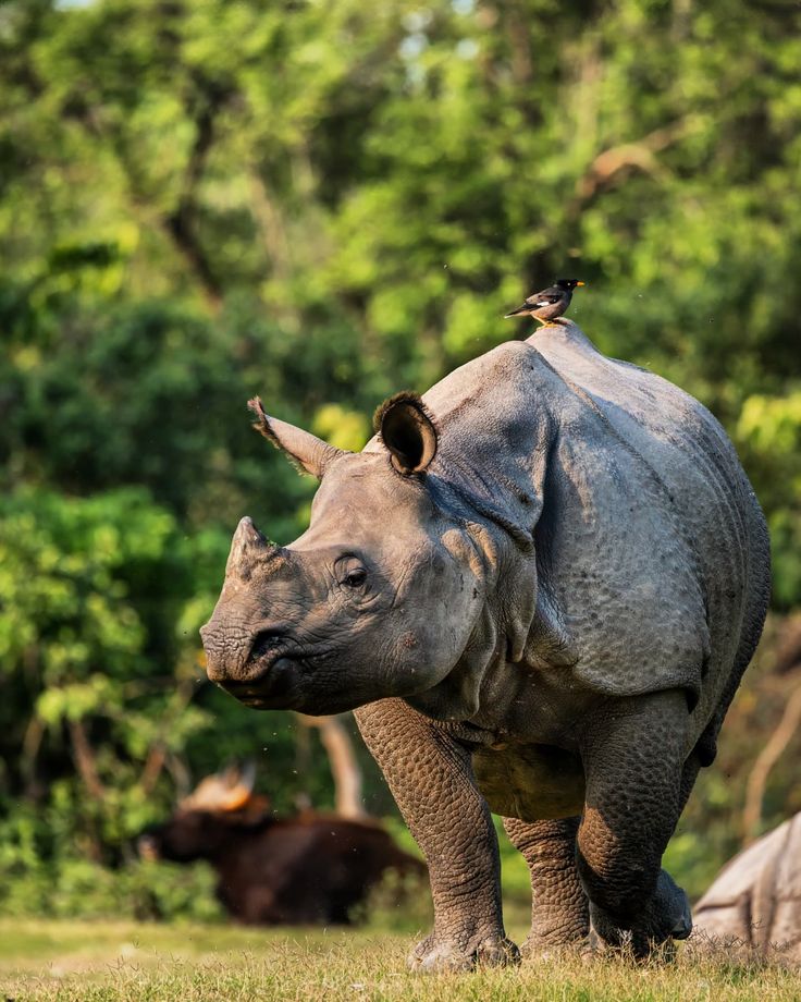 Travel to Nepal 2026