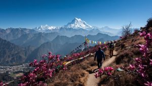 Langtang Valley Trek after 2015 earthquake